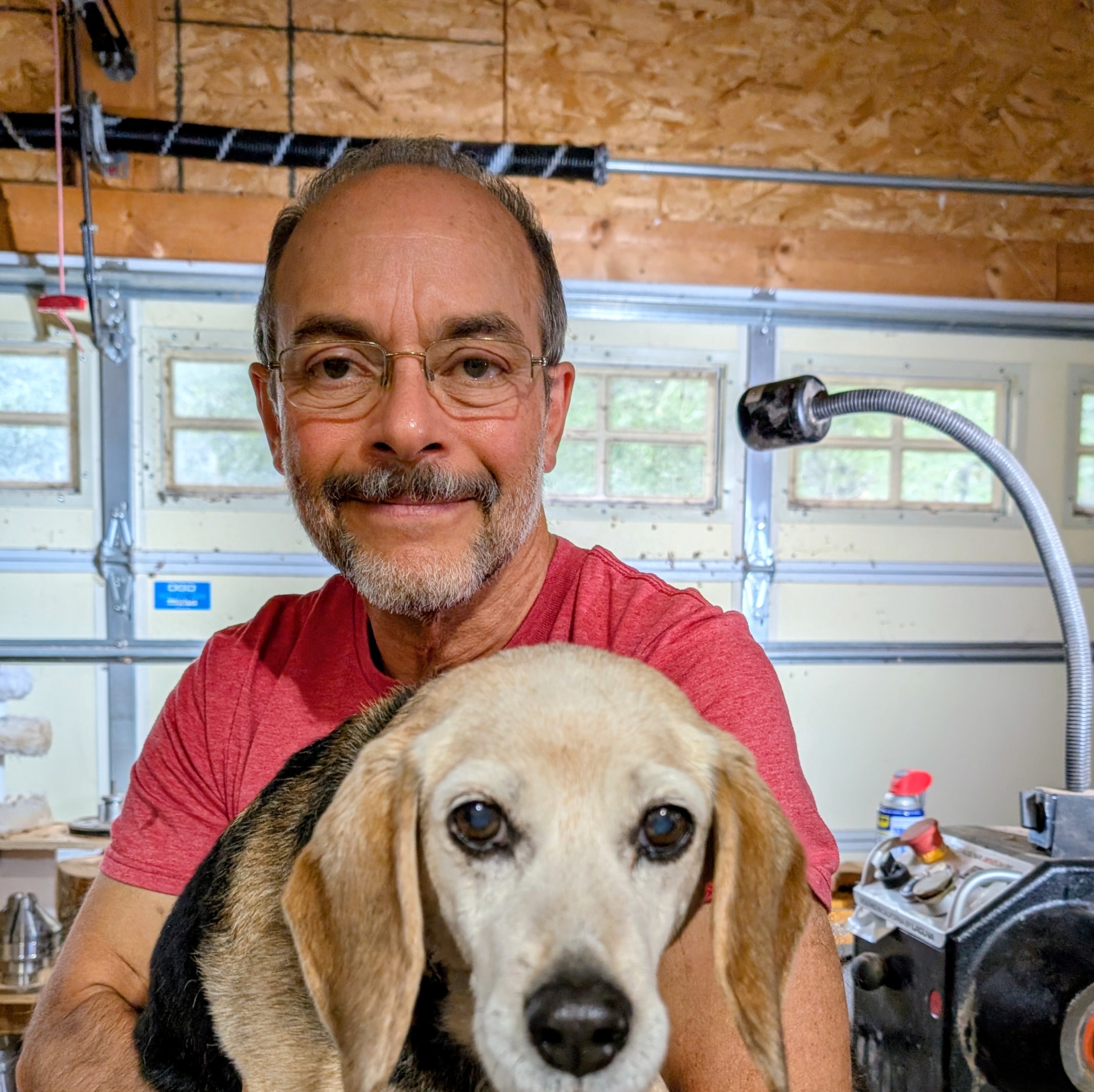 Lainey the beagle, official shop supervisor